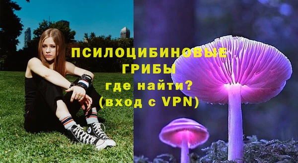 гидра Осташков
