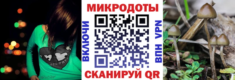 Псилоцибиновые грибы MAGIC MUSHROOMS  Кореновск 