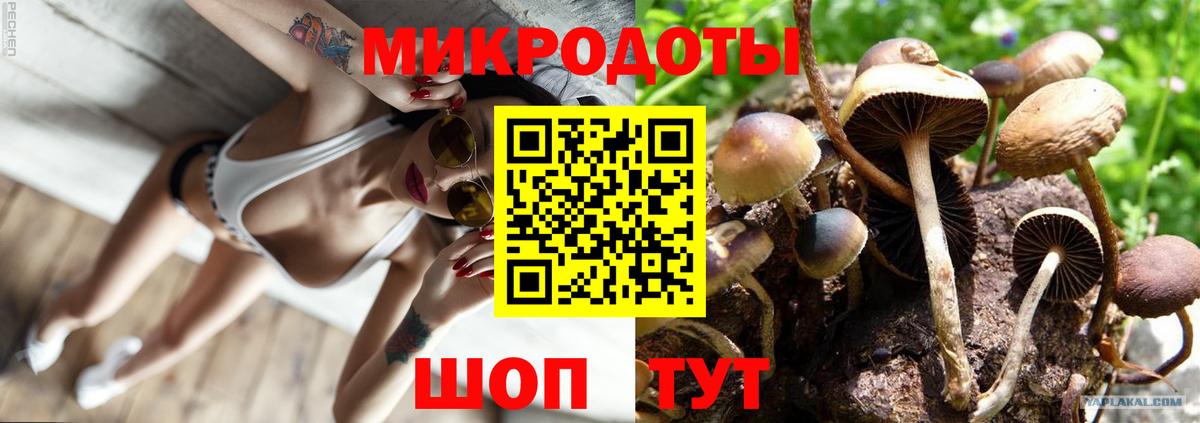 Галлюциногенные грибы прущие грибы Кореновск