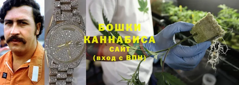 магазин продажи   Кореновск  Каннабис Bruce Banner 